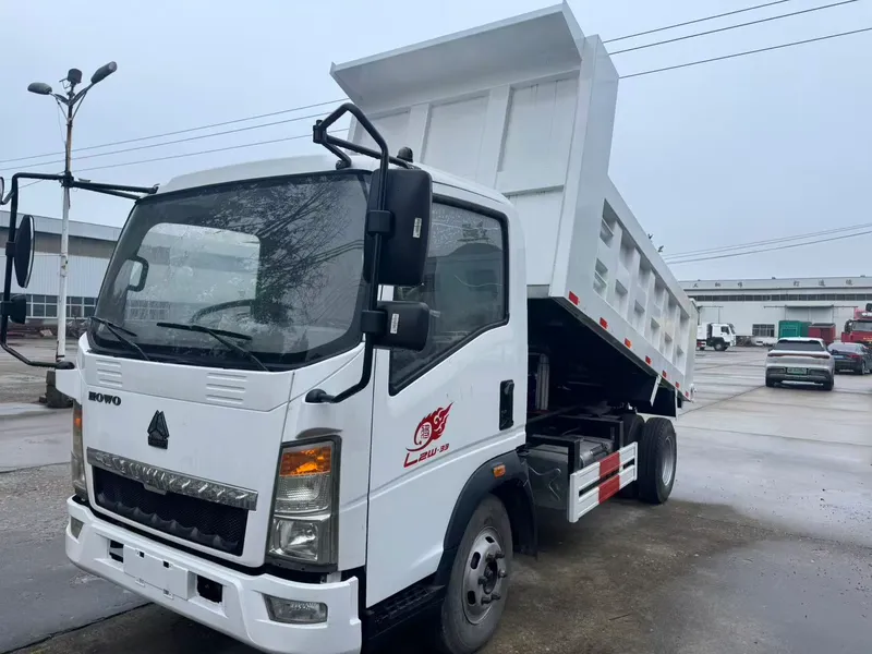 SINOTRUK HOWO 290HP Dump Truck
